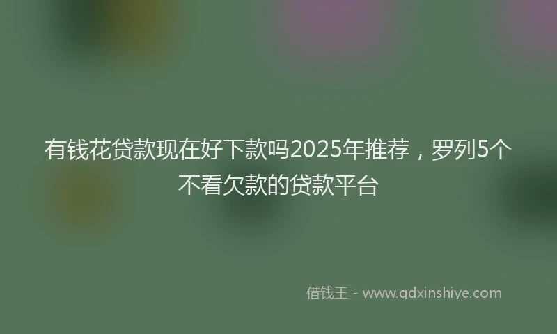 有钱花贷款现在好下款吗2025年推荐，罗列5个不看欠款的贷款平台