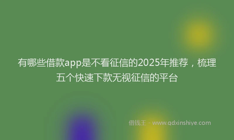 有哪些借款app是不看征信的2025年推荐，梳理五个快速下款无视征信的平台