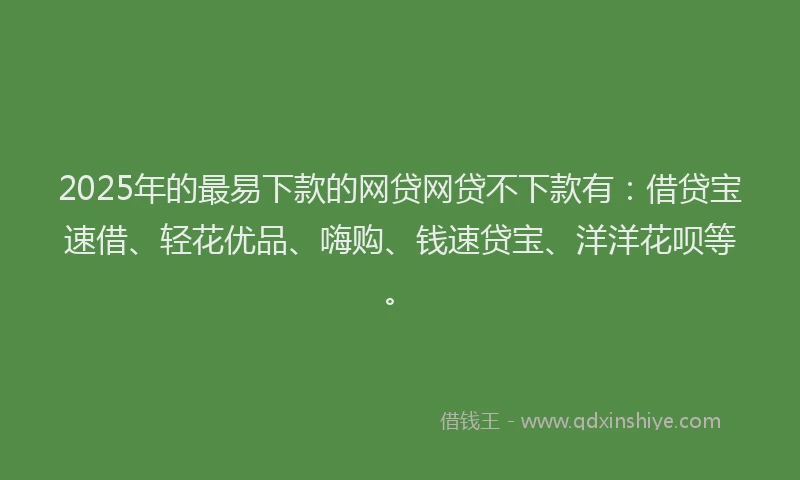 2025年的最易下款的网贷网贷不下款有：借贷宝速借、轻花优品、嗨购、钱速贷宝、洋洋花呗等。