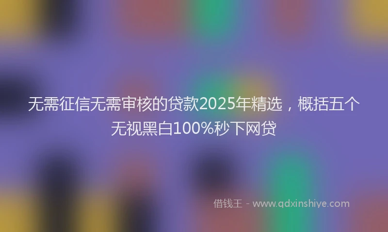 无需征信无需审核的贷款2025年精选，概括五个无视黑白100%秒下网贷