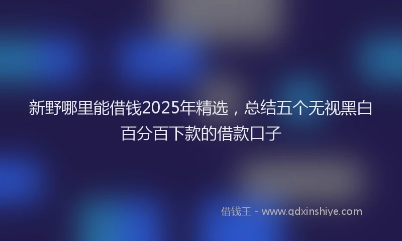 新野哪里能借钱2025年精选，总结五个无视黑白百分百下款的借款口子