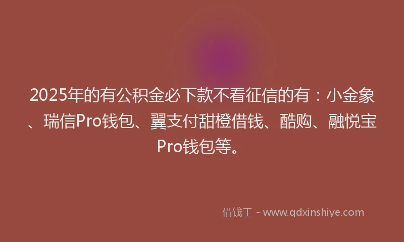 2025年的有公积金必下款不看征信的有：小金象、瑞信Pro钱包、翼支付甜橙借钱、酷购、融悦宝Pro钱包等。