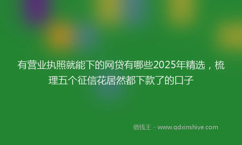 有营业执照就能下的网贷有哪些2025年精选，梳理五个征信花居然都下款了的口子