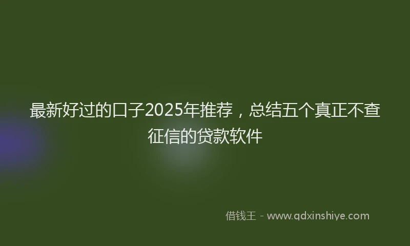 最新好过的口子2025年推荐，总结五个真正不查征信的贷款软件