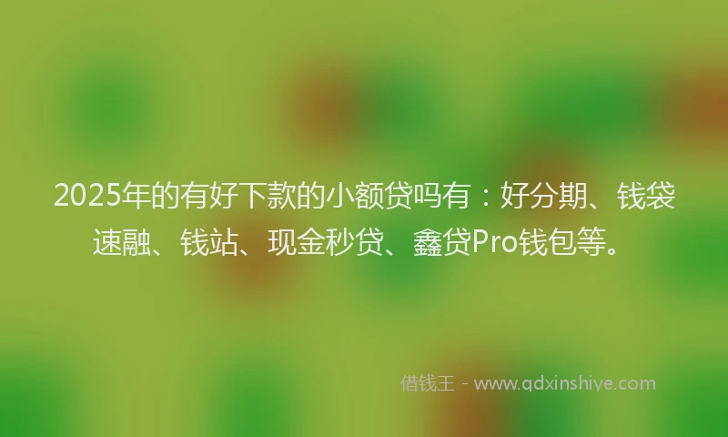 2025年的有好下款的小额贷吗有：好分期、钱袋速融、钱站、现金秒贷、鑫贷Pro钱包等。