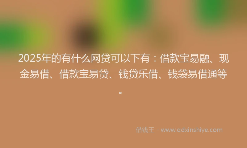 2025年的有什么网贷可以下有：借款宝易融、现金易借、借款宝易贷、钱贷乐借、钱袋易借通等。