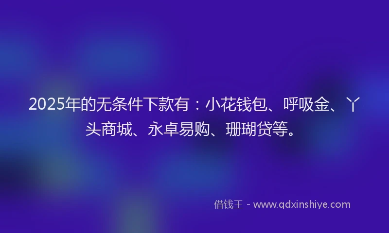 2025年的无条件下款有：小花钱包、呼吸金、丫头商城、永卓易购、珊瑚贷等。
