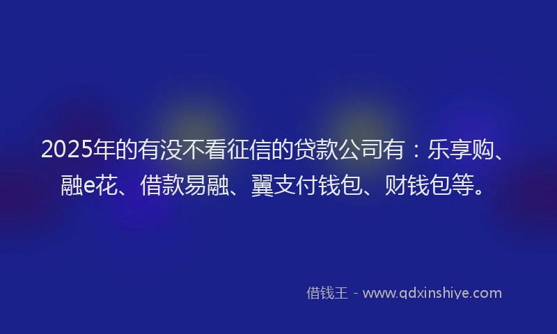 2025年的有没不看征信的贷款公司有：乐享购、融e花、借款易融、翼支付钱包、财钱包等。
