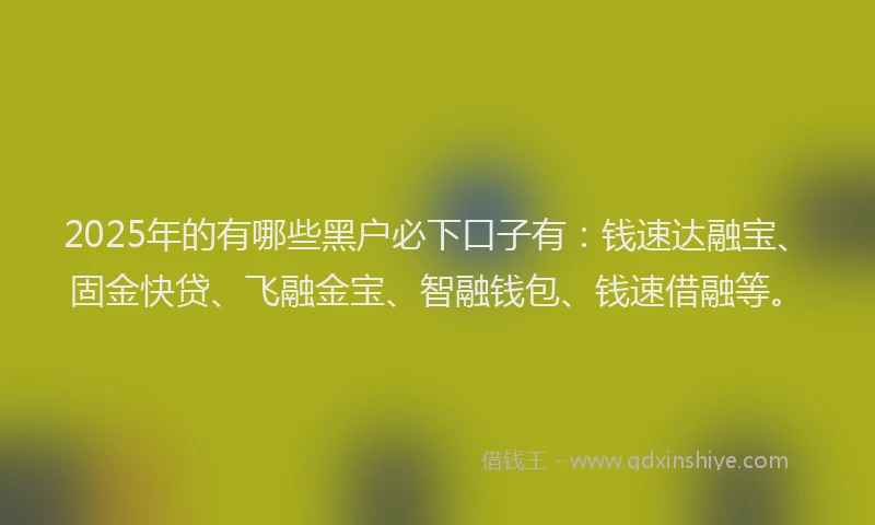 2025年的有哪些黑户必下口子有：钱速达融宝、固金快贷、飞融金宝、智融钱包、钱速借融等。