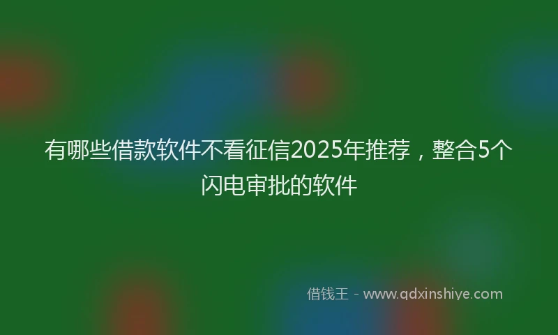 有哪些借款软件不看征信2025年推荐，整合5个闪电审批的软件
