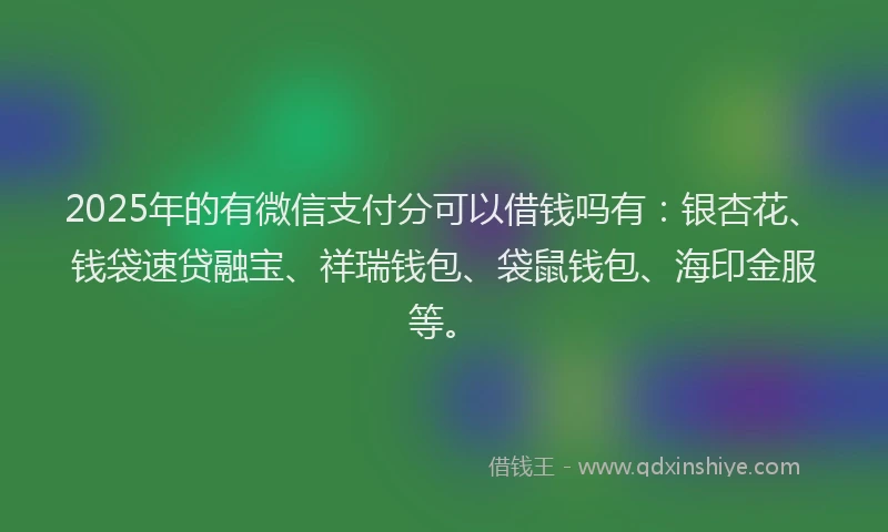 2025年的有微信支付分可以借钱吗有：银杏花、钱袋速贷融宝、祥瑞钱包、袋鼠钱包、海印金服等。