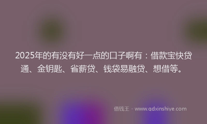 2025年的有没有好一点的口子啊有：借款宝快贷通、金钥匙、省薪贷、钱袋易融贷、想借等。