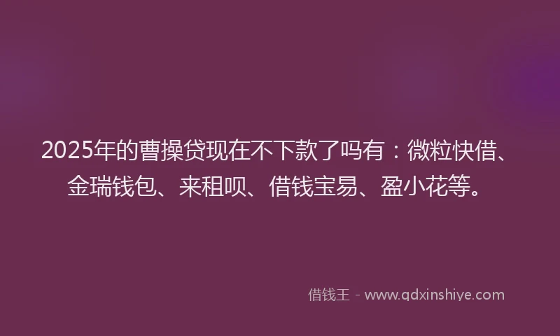 2025年的曹操贷现在不下款了吗有：微粒快借、金瑞钱包、来租呗、借钱宝易、盈小花等。