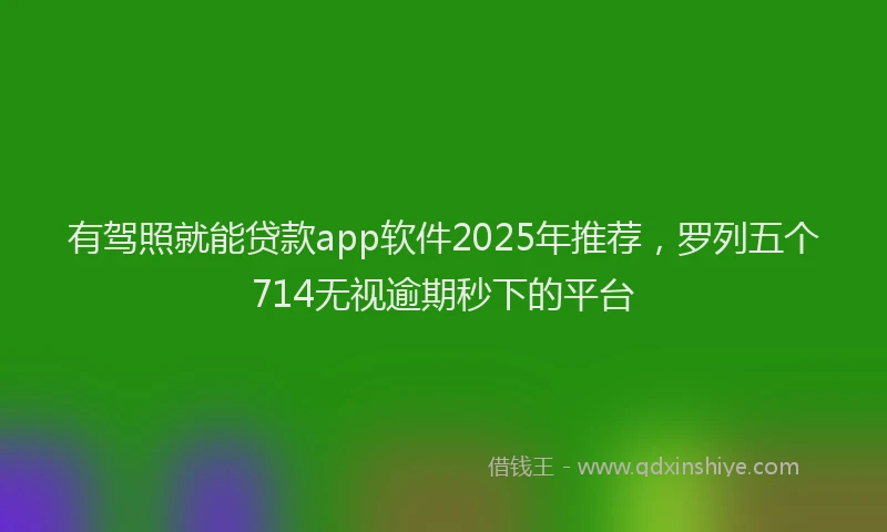 有驾照就能贷款app软件2025年推荐，罗列五个714无视逾期秒下的平台