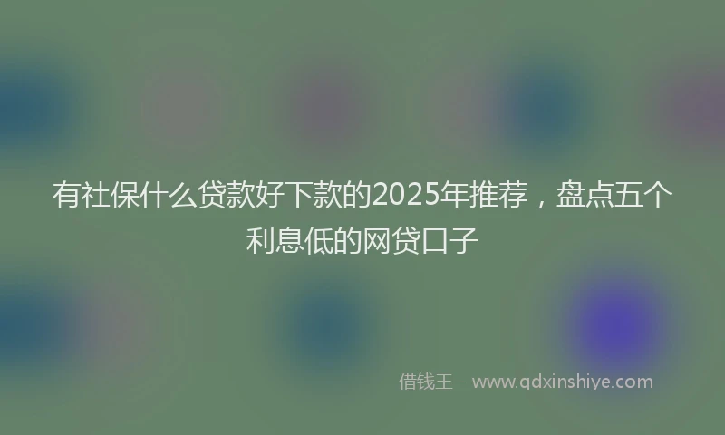 有社保什么贷款好下款的2025年推荐，盘点五个利息低的网贷口子