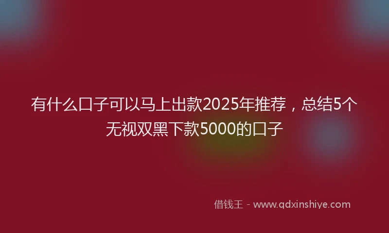 有什么口子可以马上出款2025年推荐，总结5个无视双黑下款5000的口子