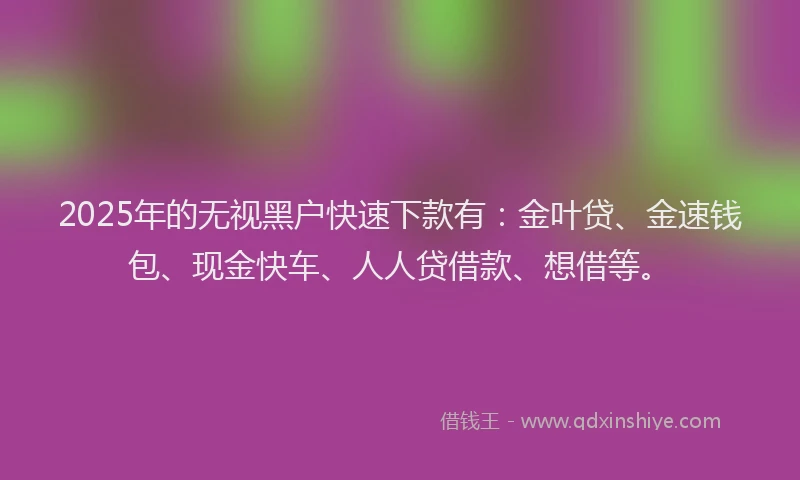 2025年的无视黑户快速下款有：金叶贷、金速钱包、现金快车、人人贷借款、想借等。