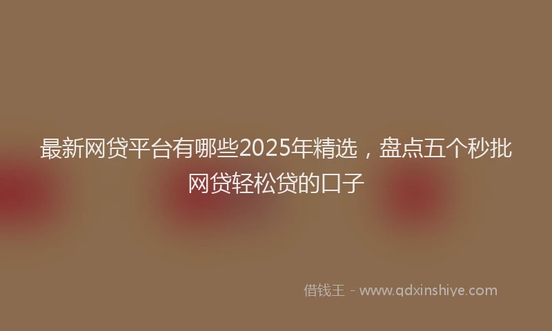 最新网贷平台有哪些2025年精选，盘点五个秒批网贷轻松贷的口子