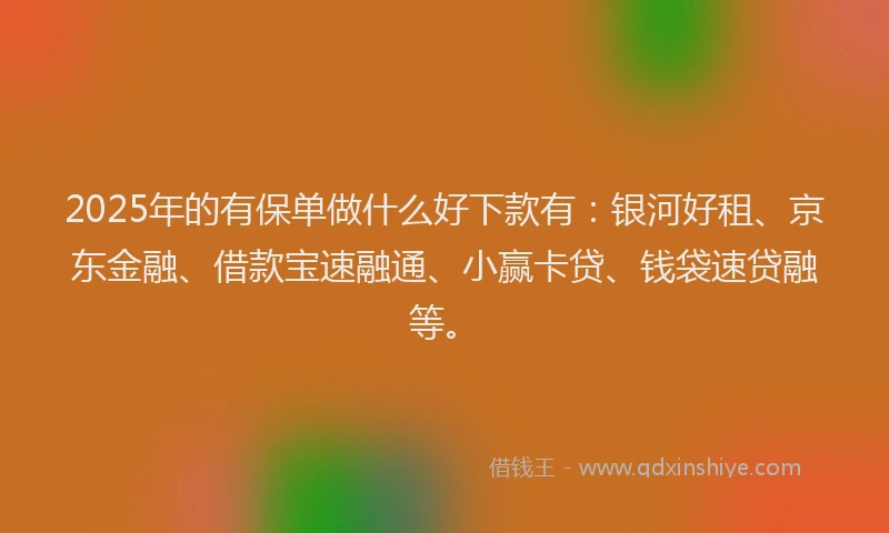 2025年的有保单做什么好下款有：银河好租、京东金融、借款宝速融通、小赢卡贷、钱袋速贷融等。