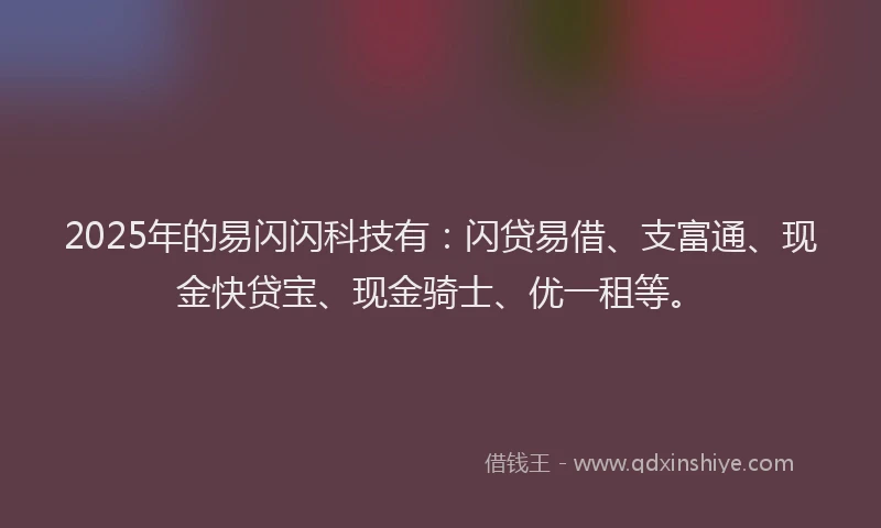2025年的易闪闪科技有：闪贷易借、支富通、现金快贷宝、现金骑士、优一租等。