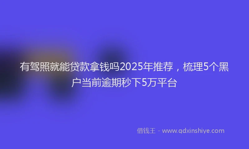 有驾照就能贷款拿钱吗2025年推荐，梳理5个黑户当前逾期秒下5万平台