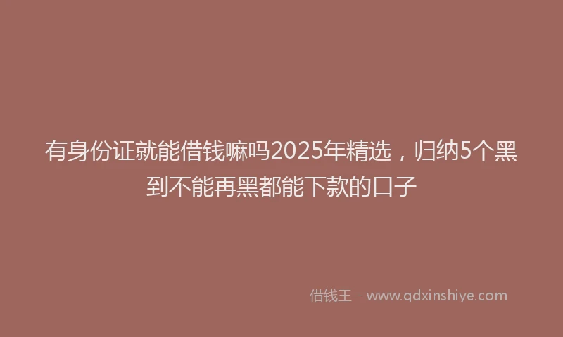 有身份证就能借钱嘛吗2025年精选，归纳5个黑到不能再黑都能下款的口子
