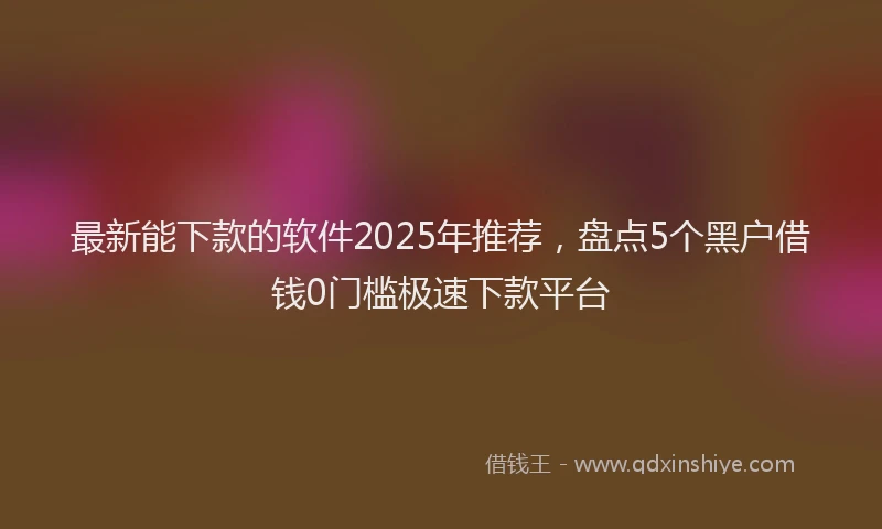 最新能下款的软件2025年推荐，盘点5个黑户借钱0门槛极速下款平台