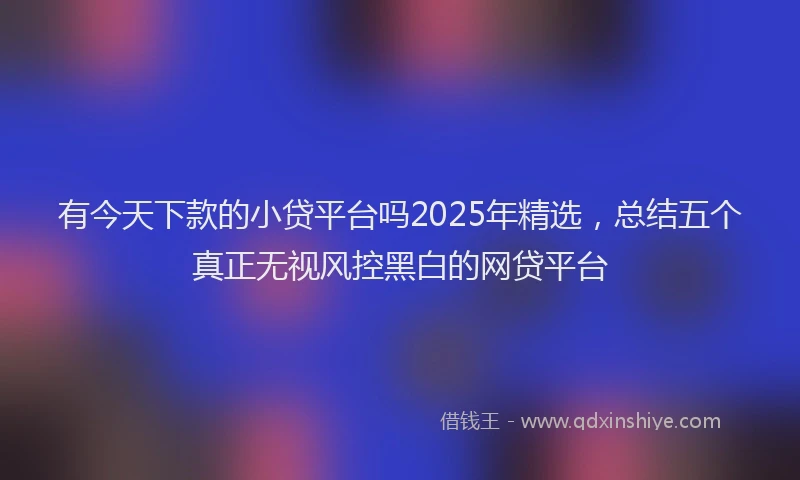 有今天下款的小贷平台吗2025年精选，总结五个真正无视风控黑白的网贷平台