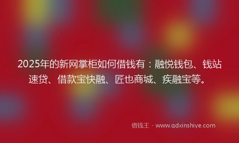 2025年的新网掌柜如何借钱有：融悦钱包、钱站速贷、借款宝快融、匠也商城、疾融宝等。