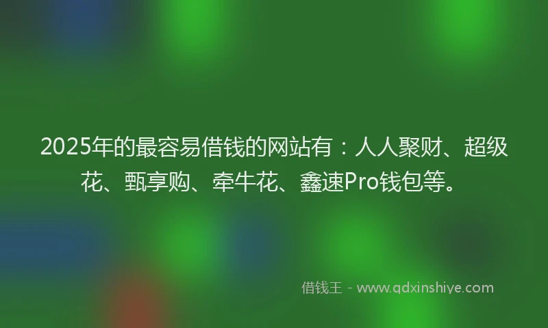 2025年的最容易借钱的网站有：人人聚财、超级花、甄享购、牵牛花、鑫速Pro钱包等。