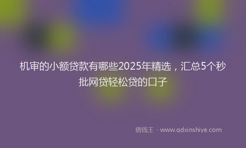 机审的小额贷款有哪些2025年精选，汇总5个秒批网贷轻松贷的口子