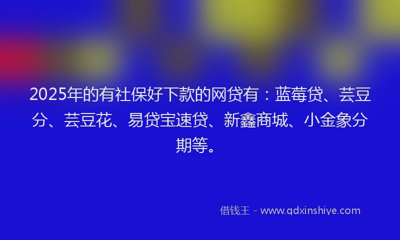 2025年的有社保好下款的网贷有：蓝莓贷、芸豆分、芸豆花、易贷宝速贷、新鑫商城、小金象分期等。