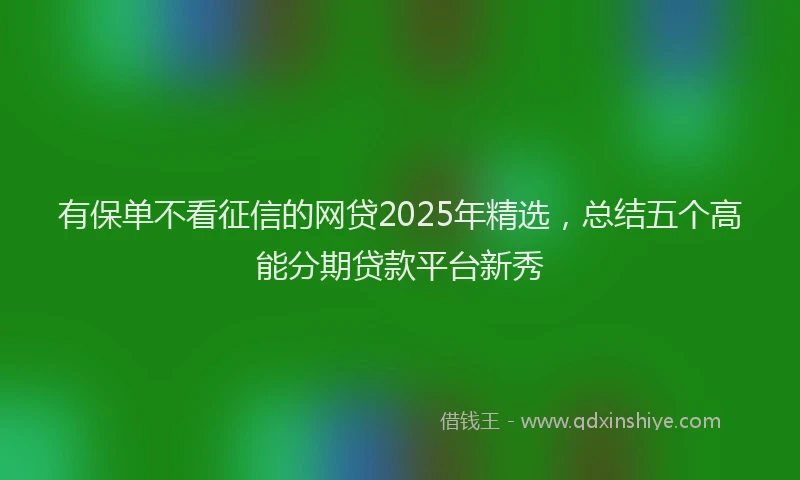 有保单不看征信的网贷2025年精选，总结五个高能分期贷款平台新秀