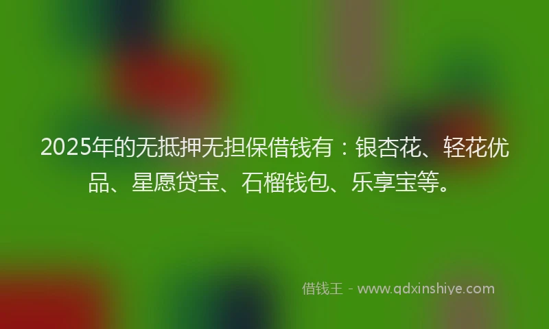 2025年的无抵押无担保借钱有：银杏花、轻花优品、星愿贷宝、石榴钱包、乐享宝等。