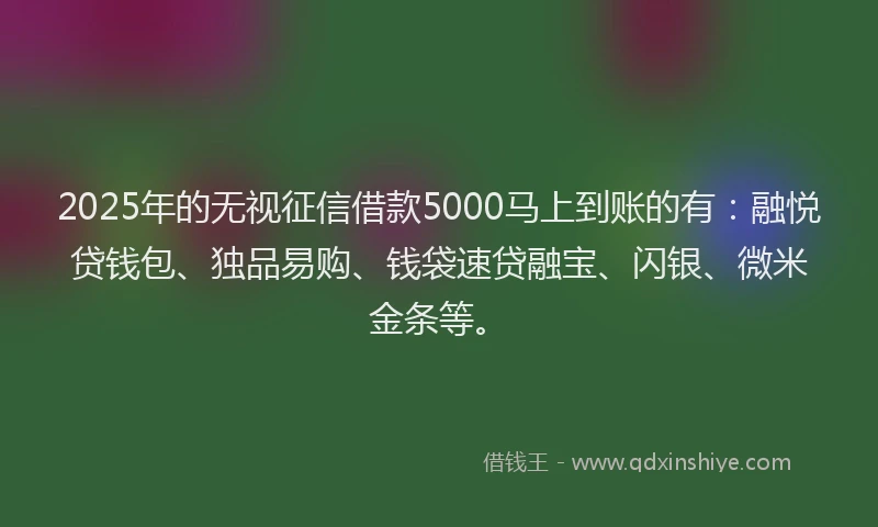 2025年的无视征信借款5000马上到账的有：融悦贷钱包、独品易购、钱袋速贷融宝、闪银、微米金条等。