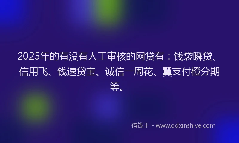 2025年的有没有人工审核的网贷有：钱袋瞬贷、信用飞、钱速贷宝、诚信一周花、翼支付橙分期等。