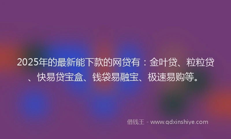 2025年的最新能下款的网贷有：金叶贷、粒粒贷、快易贷宝盒、钱袋易融宝、极速易购等。