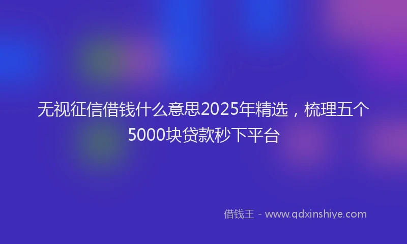 无视征信借钱什么意思2025年精选，梳理五个5000块贷款秒下平台