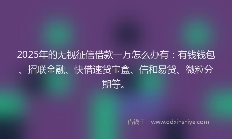 2025年的无视征信借款一万怎么办有：有钱钱包、招联金融、快借速贷宝盒、信和易贷、微粒分期等。