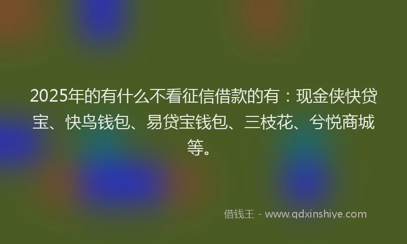 2025年的有什么不看征信借款的有：现金侠快贷宝、快鸟钱包、易贷宝钱包、三枝花、兮悦商城等。