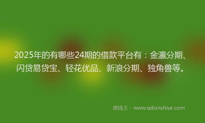2025年的有哪些24期的借款平台有：金瀛分期、闪贷易贷宝、轻花优品、新浪分期、独角兽等。