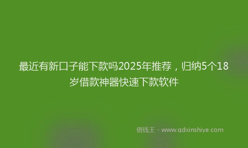 最近有新口子能下款吗2025年推荐，归纳5个18岁借款神器快速下款软件