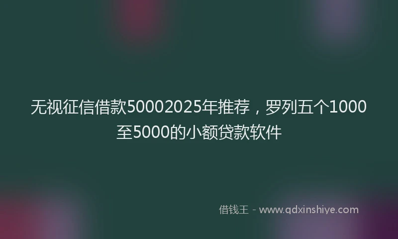 无视征信借款50002025年推荐，罗列五个1000至5000的小额贷款软件