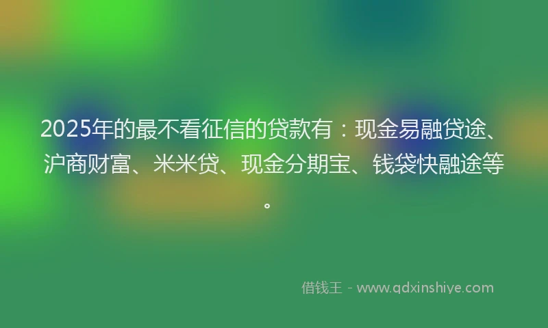 2025年的最不看征信的贷款有：现金易融贷途、沪商财富、米米贷、现金分期宝、钱袋快融途等。