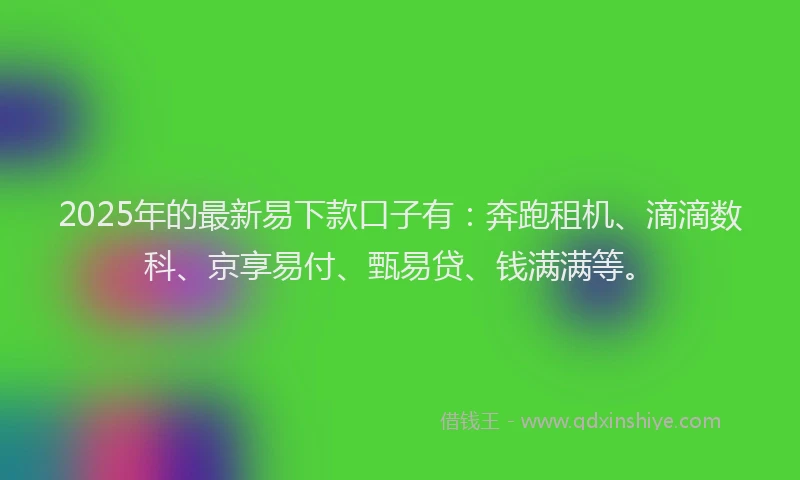 2025年的最新易下款口子有：奔跑租机、滴滴数科、京享易付、甄易贷、钱满满等。