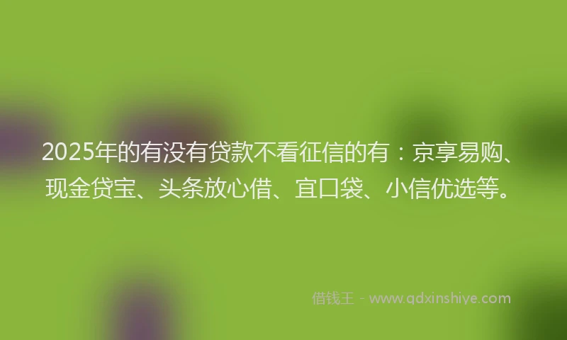 2025年的有没有贷款不看征信的有：京享易购、现金贷宝、头条放心借、宜口袋、小信优选等。
