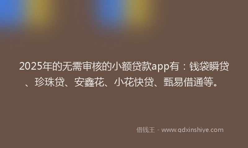2025年的无需审核的小额贷款app有：钱袋瞬贷、珍珠贷、安鑫花、小花快贷、甄易借通等。
