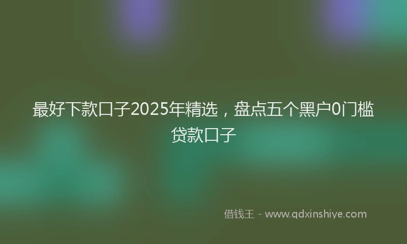 最好下款口子2025年精选，盘点五个黑户0门槛贷款口子