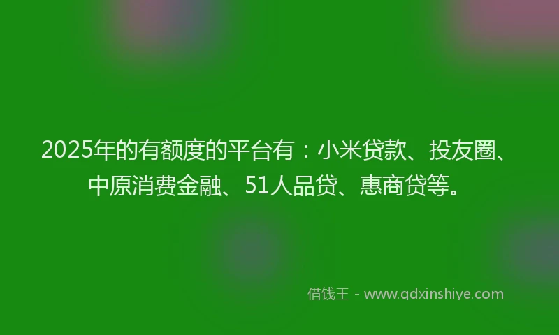 2025年的有额度的平台有：小米贷款、投友圈、中原消费金融、51人品贷、惠商贷等。