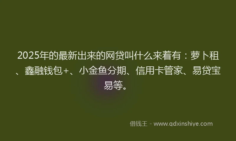 2025年的最新出来的网贷叫什么来着有:萝卜租、鑫融钱包+、小金鱼分期、信用卡管家、易贷宝易等。